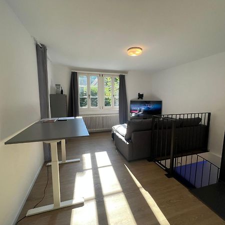 Blick Auf Schwarzen Turm - Freihofapartments Brugg  Kültér fotó
